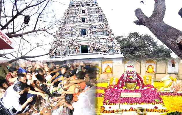 Mahashivratri Today, There Will Be An Influx Of Faith In The Temples 