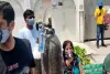 गाजियाबाद: कोरोना संकट में इंदिरापुरम गुरुद्वारा की अनोखी पहल, मरीजों के लिए शुरु किया 'ऑक्‍सीजन लंगर'