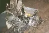 पंजाब के मोगा में मिग-21 बाइसन लड़ाकू विमान दुर्घटनाग्रस्त, पायलट शहीद