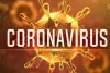 दुनिया में कोरोना: अब तक 17.58 करोड़ से अधिक लोग हुए संक्रमित, करीब 38 लाख लोगों की मौत