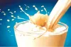 देश में 80 से 90% दूध मिलावटी, घातक बीमारियों का खतरा, हाई कोर्ट में रखी रिपोर्ट में हुआ खुलासा