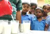 अब सरकारी स्कूलों में बच्चों को मिलेगा डिब्बे वाला दूध