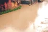 सड़कें बनी दरियां, कीचड़ से आमजन परेशान