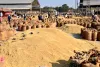 एग्रो कमोडिटी पर कम हो टैक्स का भार