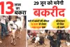 15 हजार से 13 लाख तक के बकरे बिकने को आए,ऑनलाइन भी बिक रहे बकरे