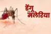 सीजन @ बारिश : मच्छरों का प्रकोप, फैला रहे डेंगू-मलेरिया, तेजी से बढ़ रहे मरीज