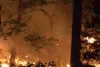 उत्तरी कैलिफोर्निया के जंगल में फैली आग, हजारों लोगों को निकाला