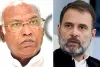Electoral Bonds: खड़गे-राहुल ने किया कोर्ट के फैसले का स्वागत, राहुल बोले- BJP ने बॉण्ड को रिश्वत और कमीशन लेने का माध्यम बना दिया था