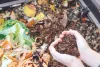 Home Composting and Three R's को निगम ग्रेटर उपलब्ध कराएगा मंच