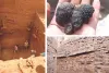 Excavation में मिले प्राचीन कालीन सभ्यता के अवशेष