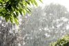  प्रदेश के कई जिलों में हुई  हल्की बारिश, हवाओं से मानसून की रफ्तार पर पड़ा प्रभाव 