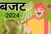 बजट 2024 : कृषि को लेकर की कई घोषणाएं, नेचुरल फार्मिंग से लेकर किसानों को सही दाम दिलाने पर होगा काम