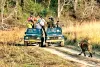 असर खबर का - अब कोटा में शुरू हो सकेगी वाइल्ड लाइफ सफारी 