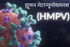 भारत में HMPV वायरस के मिले 2 केस, 8 और 3 महीने के बच्चे संक्रमित 