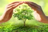 वृक्षारोपण के साथ पेड़ों की सुरक्षा भी जरूरी
