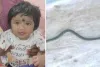 छत्तीसगढ़ में बच्ची ने खिलौना समझकर सांप को पकड़ा : दांतों से कांटा, सांप की मौत 