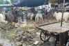 सफाई व्यवस्था चौपट, सब्जीमंडी में लगे गंदगी के ढेर