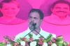 राहुल गांधी ने साधा भाजपा पर निशाना : वोट चोरी कर चुनाव जीतती है भाजपा, कहा- देश को जोड़ने का काम कर रहा महागठबंधन