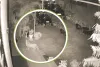 घर में लगे सीसीटीवी कैमरे में दर्ज हुआ बघेरे का मूवमेंट : डीसीएफ, एसीएफ, तीन रेंजर और दो डॉक्टरों सहित टीम ने मौके पर पहुंचकर किया सर्च 