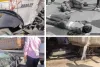 शराब के नशे में डंपर चालक की सड़क पर तबाही : सड़क पर बिखरे लोगों के शरीर के टुकड़े, 13 लोगों की मौके पर ही मौत