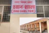 असर खबर का -  74 कैनाल वाली श्वानशाला को बनाया डॉग शेल्टर हाउस,अस्पताल,शिक्षण संस्थानों व सरकारी कार्यालयों से लावारिस श्वानों को लाकर रखेंगे