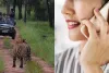 मध्य प्रदेश सरकार का बड़ा फैसला, टाइगर रिजर्व में मोबाइल फोन के उपयोग पर लगाया प्रतिबंध