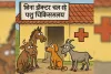 बिना डॉक्टर चल रहे पशु चिकित्सालय, जानें पूरा मामला 