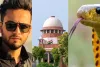 सांप के जहर मामले में यूट्यूबर एल्विश यादव को बड़ी राहत : सुप्रीम कोर्ट ने खारिज की प्राथमिकी, सांप के जहर का इस्तेमाल और रेव पार्टियों में शामिल होने का लगा था आरोप