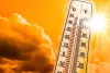 गर्मी ने अभी से किया बेहाल: बाड़मेर-जैसलमेर में पारा 40 डिग्री के करीब पहुंचा, अब लू का अलर्ट