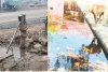 कस्बे में पेयजल स्रोतों की स्थिति खराब : अव्यवस्थित प्याऊ, जर्जर व गंदे जल स्रोत बने खतरा