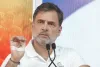राहुल गांधी का भाजपा पर निशाना : दिल्ली से तमिलनाडु पर शासन करना चाहती है भाजपा, बोले- तमिलनाडु में चाहते है ऐसा मुख्यमंत्री, जो केंन्द्र के आदेशों पर चले