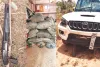 मादक पदार्थ तस्करों ने तोड़ी नाकाबंदी, पुलिस पर फायरिंग कर जंगल में भागे