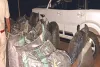 मादक पदार्थ तस्करों ने नाकाबंदी तोड़ पुलिस पर की आठ राउंड फायरिंग, एक करोड़ का डोडा चूरा जब्त