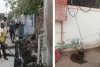 असर खबर का  : छात्रावास व स्कूल क्षेत्र में चला सफाई अभियान