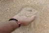 राशन के गेहूं में रेत, कंकर और मिट्टी मिलने पर हंगामा