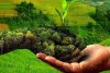 प्राकृतिक खेती से बेहतर होगी धरती की सेहत