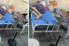 MDM अस्पताल के ENT वार्डों में गर्मी का संकट: भीषण गर्मी में बंद पड़े पंखे-कूलर, मरीज घरों से पंखे लाने को मजबूर