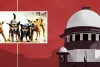 आवारा कुत्तों से जुड़ा मामला : सुप्रीम कोर्ट का पुराने आदेश में संशोधन से इंकार, एनजीओ की याचिका खारिज