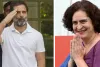 बक़रीद पर राहुल गांधी और प्रियंका ने दी मुबारकबाद, एकता और भाईचारे की कामना की