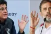 पीयूष गोयल का दावा: कभी सफल नहीं होगी इंडिया गठबंधन की साज़िश, राहुल गांधी  देश में अराजकता फैलाने की कर रहे कोशिश 