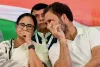 क्या विपक्ष को फिर एकजुट करेंगी ममता? राहुल से मुलाकात के बाद तेज हुई अटकलें ; बढ़ी सियासी हलचल, 6 जून को होगी भविष्य की रणनीति तय