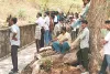 जंगल में निर्वस्त्र हालत में मिला महिला का शव, दुष्कर्म के बाद हत्या की आशंका