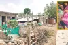 कुल्हाड़ी से पत्नी की हत्या कर फरार हुआ पति गिरफ्तार, शराब के पैसों को लेकर हुआ था विवाद
