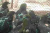 179 घायल पक्षियों को मिली नई उड़ान की उम्मीद : वन विभाग के उपचार केंद्र में चल रही देखभाल, कबूतर से लेकर बाज और मोर तक