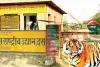 तहसील ने भी कर दी नियम विरुद्ध रजिस्ट्री, डीएफओ ने कलक्टर से लगाई कार्रवाई की गुहार