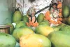 जयपुर स्थित गोगाजी महाराज मंदिर में सजी आम मनोरथ झांकी