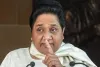 मायावती का मीडिया स्टिंग पर पलटवार; कहा- हम पूंजीपतियों के इशारे पर नहीं चलते,  बसपा को बदनाम करने की साजिश
