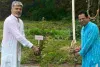 चार देशों में सेवा और हरियाली के संग मना सुशील ओझा का जन्मदिवस 