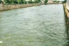 असर खबर का  :  नहरों में बढ़ाया जलप्रवाह, मुरझाई फसलों को मिलेगी संजीवनी