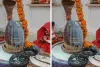 सावन के तीसरे सोमवार और नाग पंचमी पर आमेर के महारुद्र शक्तिपीठ मंदिर में दिखा अद्भुत नजारा, सर्प मित्र ने किया सुरक्षित रेस्क्यू